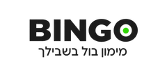 בינגו